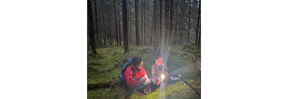 Soppplukking i marka / mushroom picking in marka